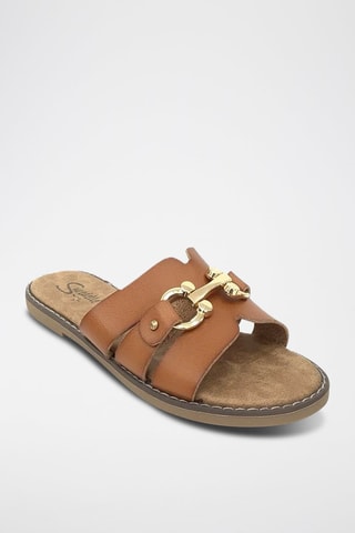 Mules - Camel