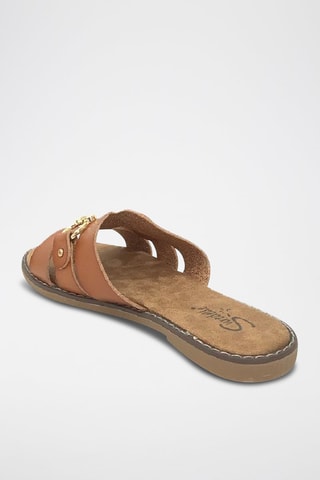 Mules - Camel