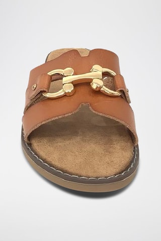 Mules - Camel