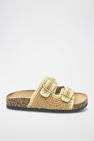 Mules - Camel