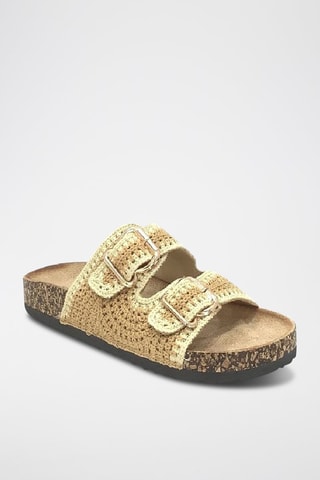 Mules - Camel