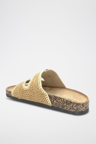 Mules - Camel