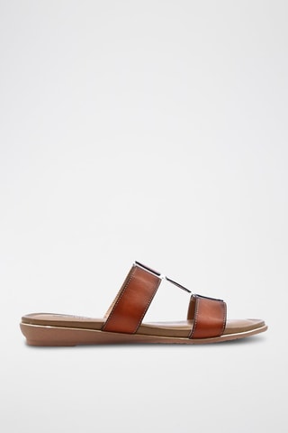 Mules - Camel