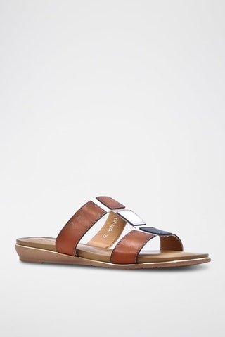 Mules - Camel