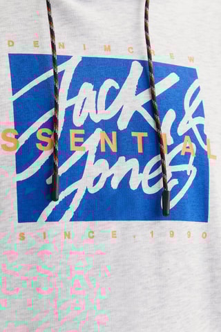 Sweat à capuche - Gris chiné