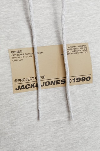 Sweat à capuche - Gris