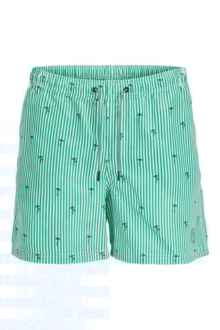 Short de bain - Vert