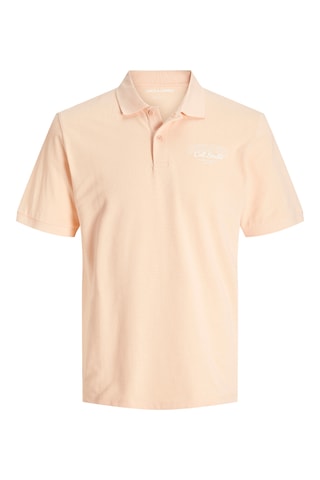 Polo - Pêche