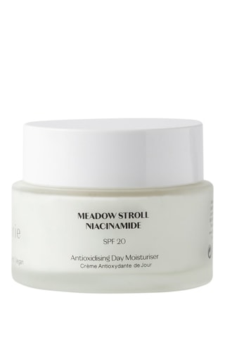 Crème antioxydante de jour SPF 20 45 ml