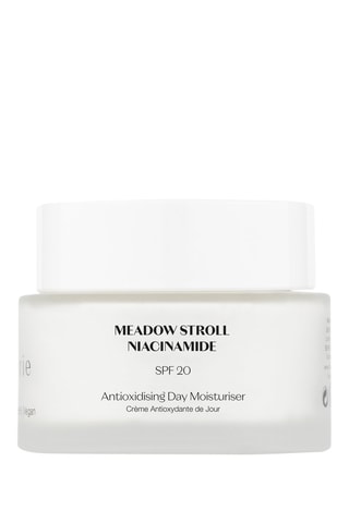 Crème antioxydante de jour SPF 20 45 ml