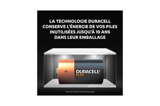 Pile C Duracell LR14 - Blister de 4 piles