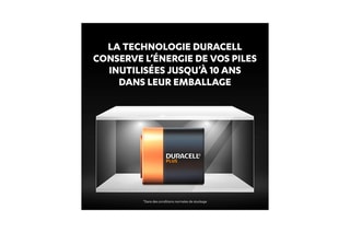 Pile D Duracell LR20 - Blister de 4 piles