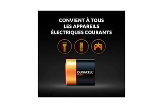 Pile D Duracell LR20 - Blister de 4 piles