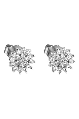 Puces Argent
