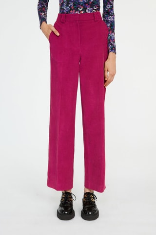 Pantalon droit en velours taille haute - Fuchsia