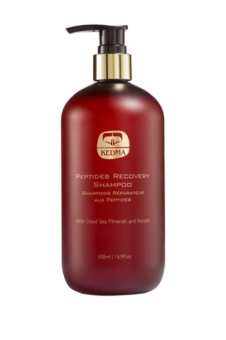 Shampoing réparateur aux peptides - 500 ml 