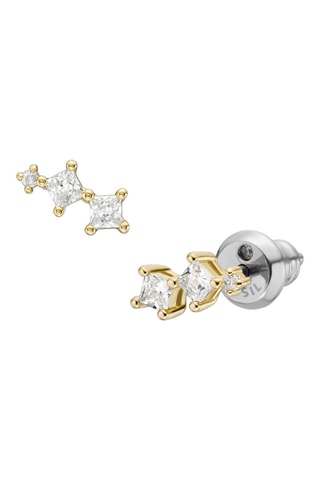 Puces - Zircons