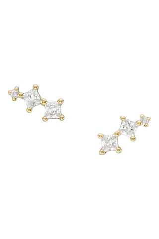 Puces - Zircons