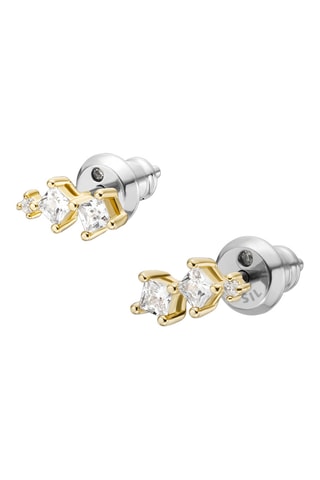 Puces - Zircons