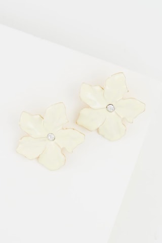 Puces - 
Blanc