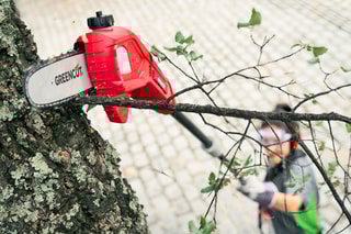 Tronçonneuse à perche électrique sans fil - 40 V