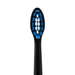 Lot de 2 brossettes sonique - Sonic You - Noir