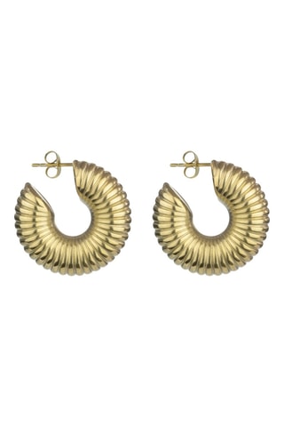 Boucles d'oreilles - Doré - Marc Malone