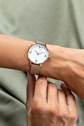 Coffret montre à quartz en acier et boucles d'oreilles - Plaqué or rose - Emily Westwood