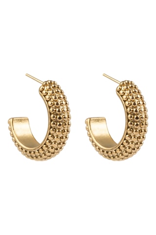 Boucles d'oreilles - Plaqué or jaune