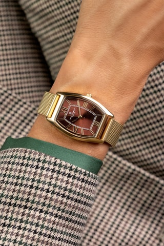 Montre à quartz en acier - Doré et marron - Frederic Graff