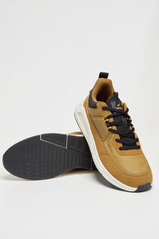 Baskets Dolpi - Camel