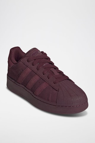 Nubuck Sneakers Superstar - Bordeauxrood