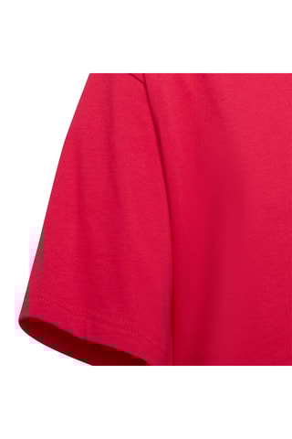 Crop Top Adicolor Fuchsia