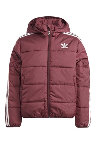 Gewatteerde Jas Adicolor Bordeauxrood