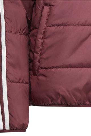 Gewatteerde Jas Adicolor Bordeauxrood