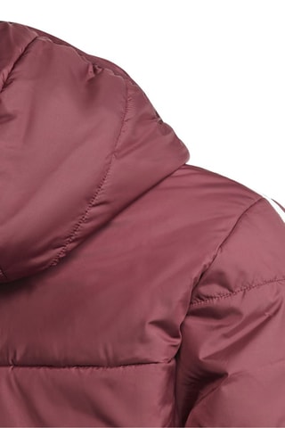 Gewatteerde Jas Adicolor Bordeauxrood