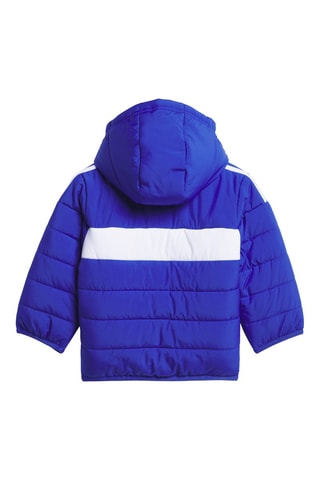 Gewatteerde Jas met Capuchon Essentials Seasonal- Koningsblauw