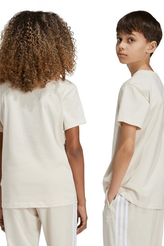 T-shirt Adicolor- Ecru
