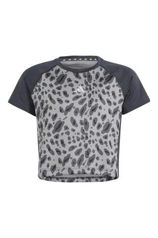 T-shirt All Sports Seasonal - Grijs en Zwart