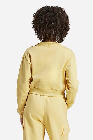 Korte Sweater - Geel