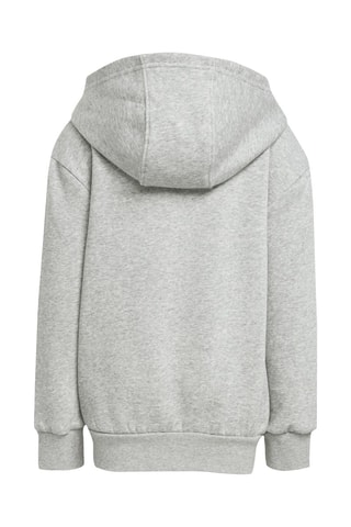 Sweater met Capuchon ALL SZN- Gemêleerd Grijs