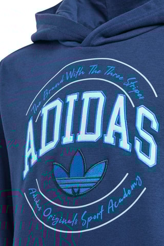 Sweater met Capuchon Graphics- Indigoblauw