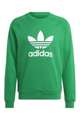 Sweater Trefoil Adicolor Classics- Groen
