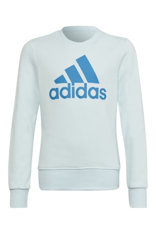 Sweater Essentials Lichtblauw