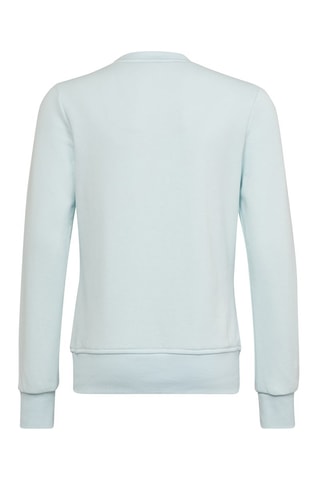 Sweater Essentials Lichtblauw