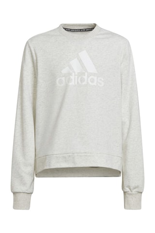 Sweater Future Icons Logo Crew - Grijs