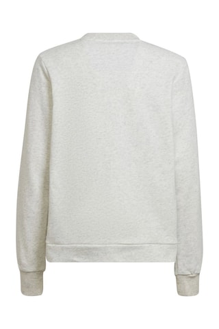 Sweater Future Icons Logo Crew - Grijs