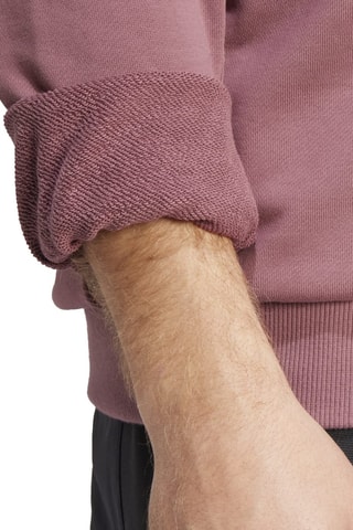 SweaterTx Logo Hoody - Roze