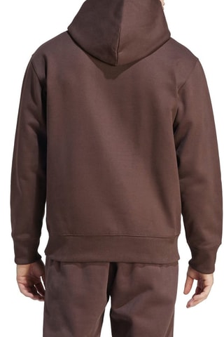Sweater met Capuchon Bruin