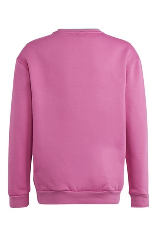 Sweater U Fleece Crew - Roze